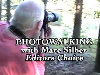 Highlights of Photowalk with professional photographer Marc Silber